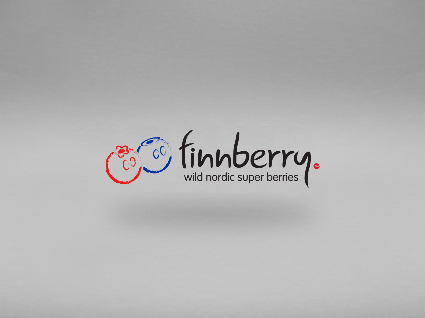 finnberry, nordic super berries, grafika, bakewell, derbyshire, branding, logo, stationery, graphic design, agency, peak district, sheffield, chesterfield, manchester, derby