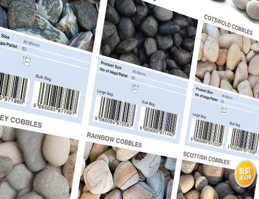 brochure and catalogue print design