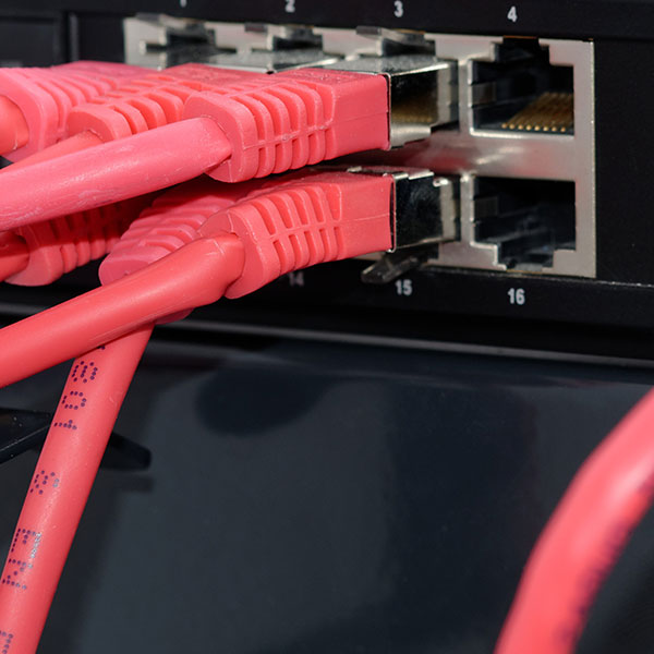 dedicated website hosting, web, website, hosting