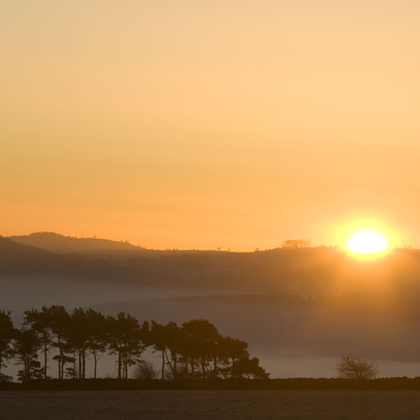 product, services, specialist, action photography, photography