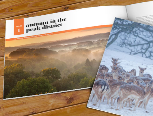 UK Countryside Tours, holidays, travel and tourism, website, web design